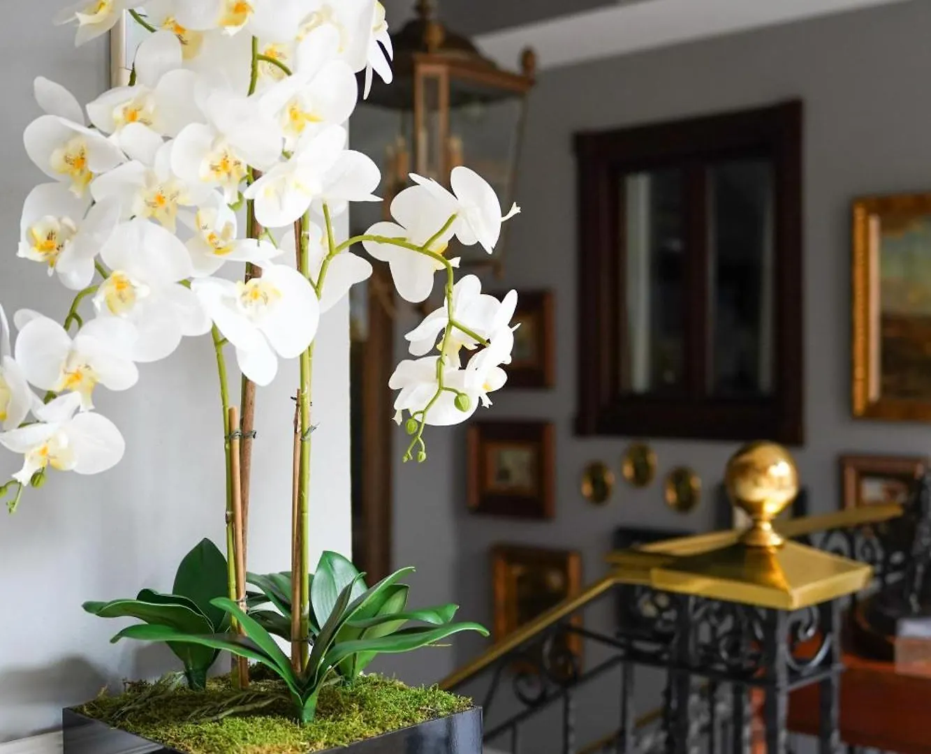 ****  Hotel Boutique Casa Veracruz Estepona Espanha